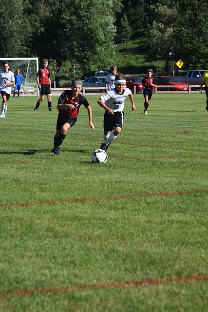 K1体育官网-权威体育赛事平台-K1体育